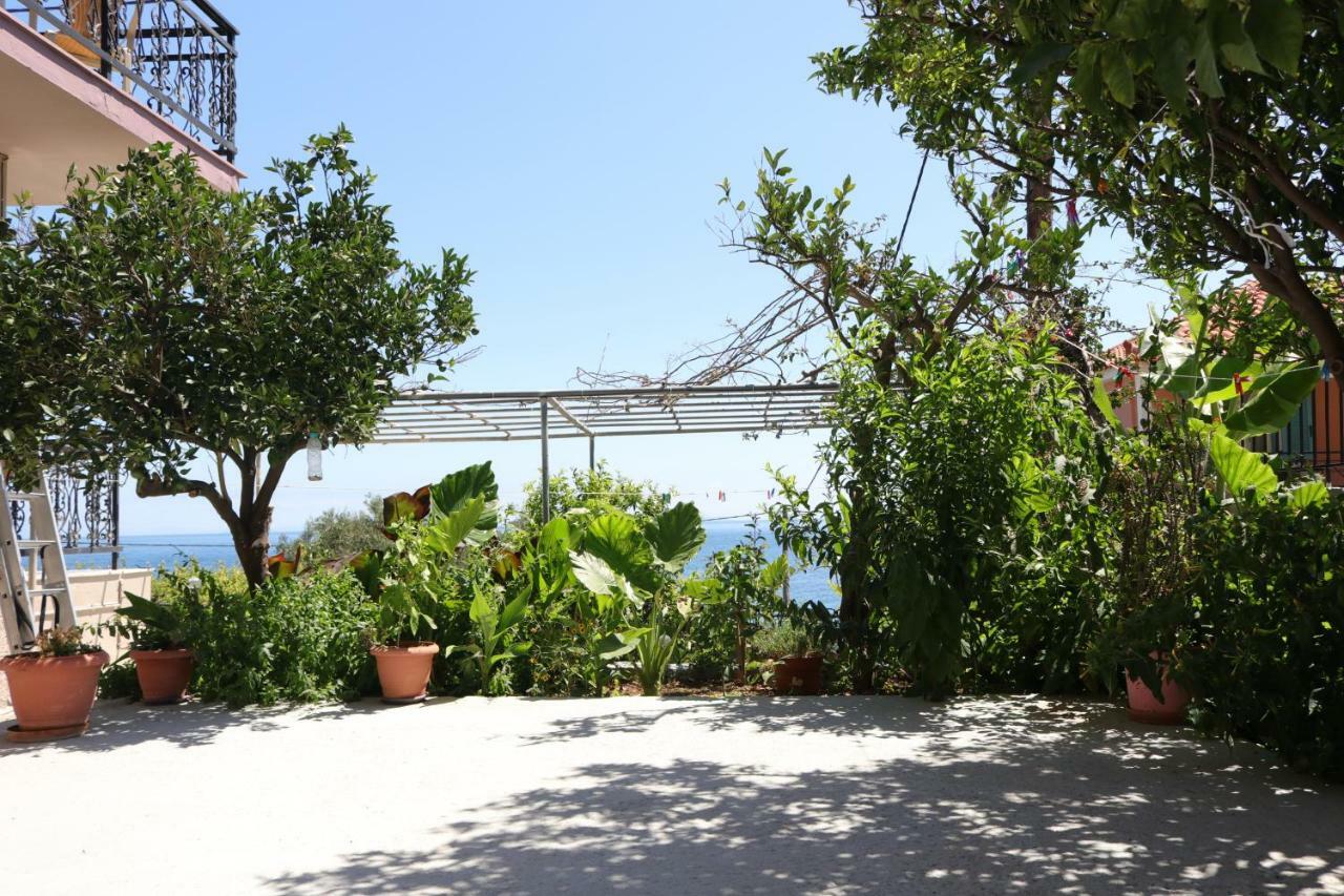 Michaela Ξενοδοχείο Πόρος Εξωτερικό φωτογραφία