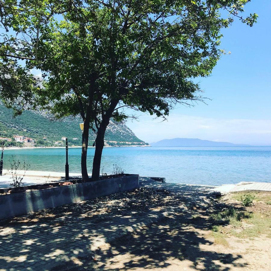 Michaela Ξενοδοχείο Πόρος Εξωτερικό φωτογραφία